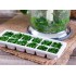 Plastic Ice Cube Maker Tray Mold with Spill Resistant Lid Cover (12 Cubes)