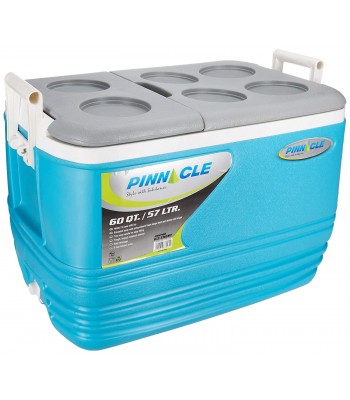 Ice box hot sale 60 litre