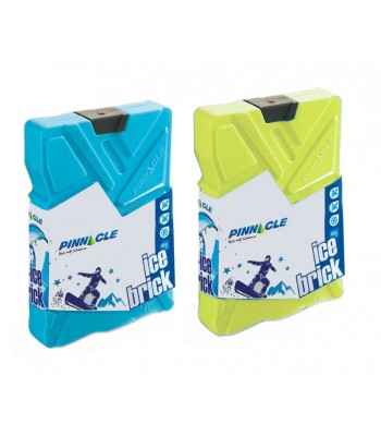 Ice Packs Bricks 2 Pieces 600ml